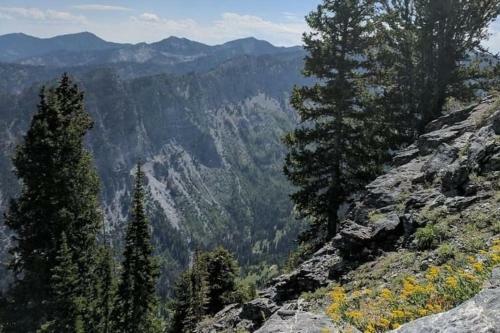 Apartamento Amazing Wasatch Mountains & The Best Ski Resorts