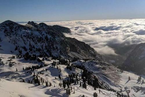 Apartamento Amazing Wasatch Mountains & The Best Ski Resorts