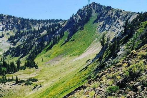 Apartamento Amazing Wasatch Mountains & The Best Ski Resorts