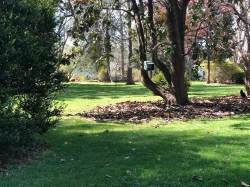 Bed & Breakfast Hollymead House