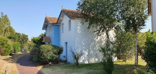 Vacances Entre Foret Dune Et Plage