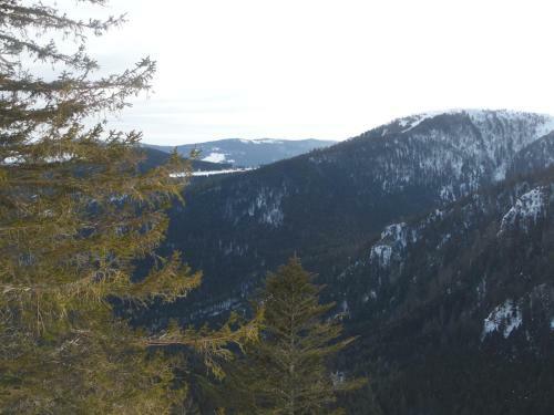Apartamento G�te Du Silberwald Charmant G�te Avec Spa - Jacuzzi , Acc�s Privatif