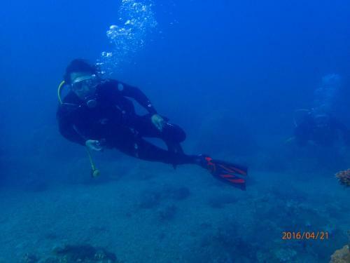 Blue Ocean Sunny Bs