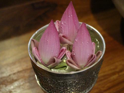 Savada Angkor Boutique Hotel