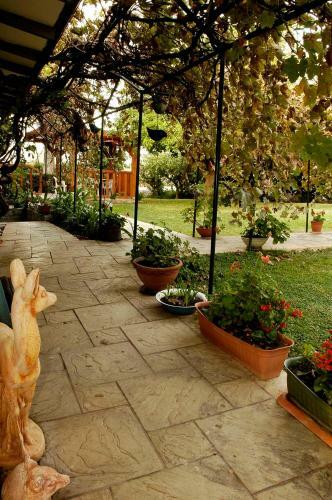 Hostal Dormitory Shavit