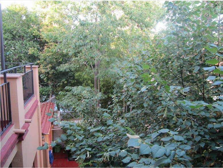 Hostal Feetup Garden House
