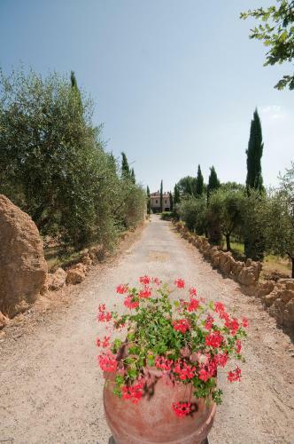 Agroturismo Villa Dini