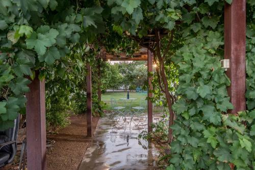 Hostal Felina Place By Shuli