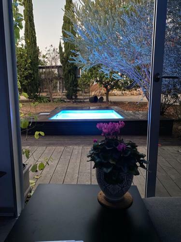Hostal Felina Place By Shuli