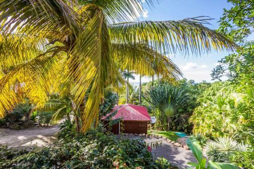 Hostal L'�lot Palmiers