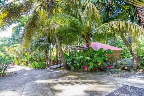Hostal L'�lot Palmiers