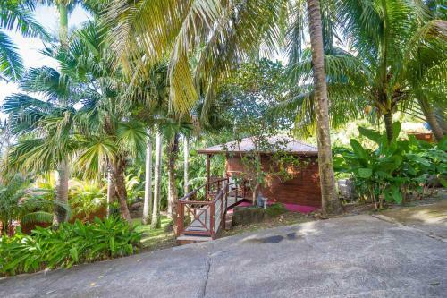 Hostal L'�lot Palmiers