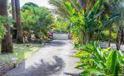 Hostal L'�lot Palmiers