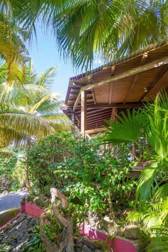 Hostal L'�lot Palmiers
