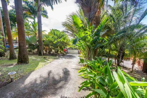 Hostal L'�lot Palmiers