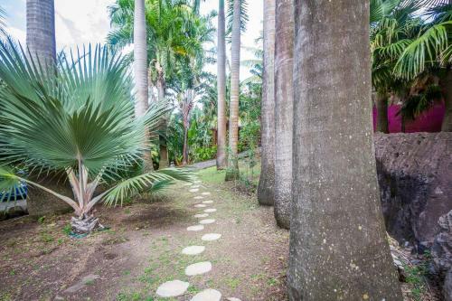Hostal L'�lot Palmiers