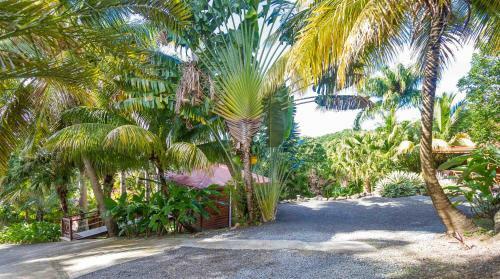 Hostal L'�lot Palmiers