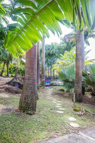 Hostal L'�lot Palmiers