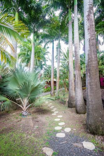 Hostal L'�lot Palmiers