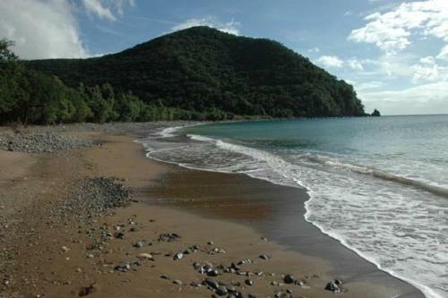 Insolite Arawakane G�te Du Manial