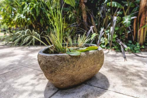Apartamento Albany Bali Style Accommodation