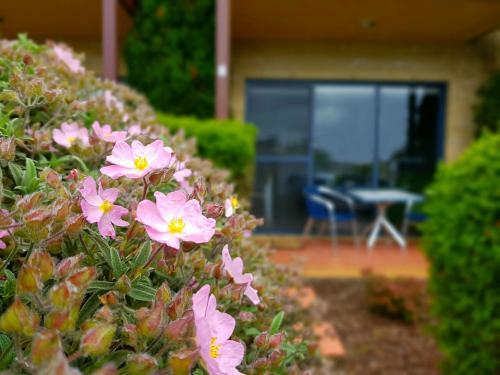 Seaview Motel & Apartments