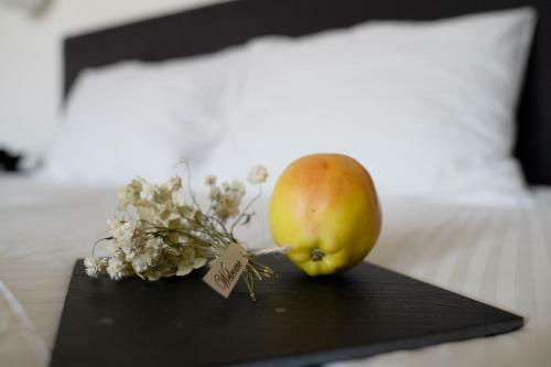 Concept Hotel By Coaf