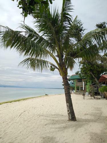 Agroturismo Badian Lambug Beach Beachfront Native Huts
