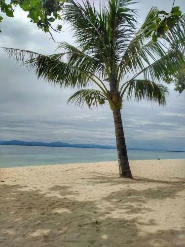 Agroturismo Badian Lambug Beach Beachfront Native Huts