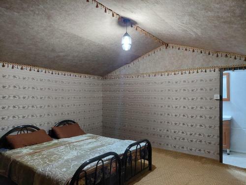 Wadi Rum Oryx Hostel