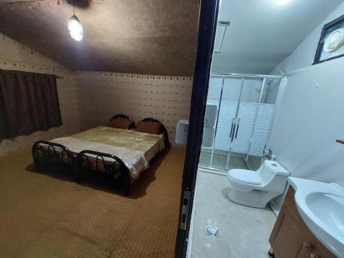 Wadi Rum Oryx Hostel