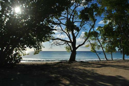 Apartamento Laineville Apt 2 Spacious With Wi-fi And A/c