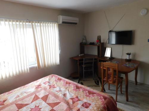 Apartamento ????? ???? ? ????????? ??????, 500 ? ?? ????.