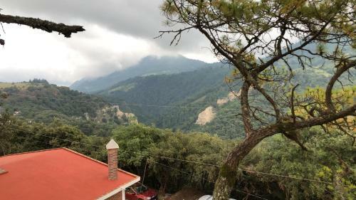Glamping Caba�as Luz Y Vida