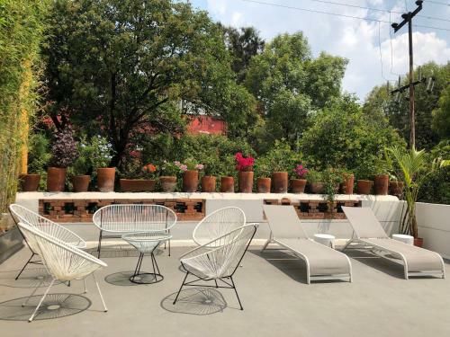 Roma Spot: Casa Sanitizada Con Terraza Y Excelente Ubicaci�n