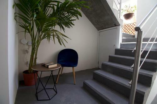 Roma Spot: Casa Sanitizada Con Terraza Y Excelente Ubicaci�n