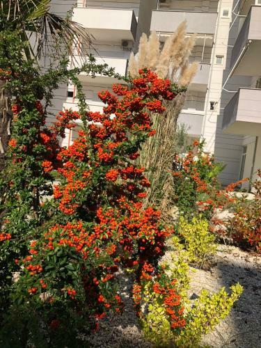 Qerret Seaside 1 Bedroom Apartment