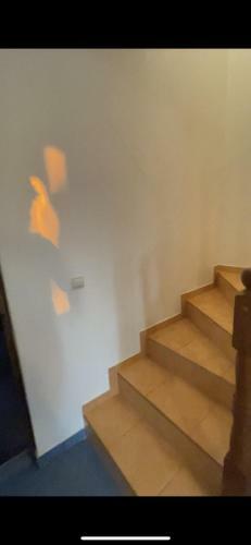 Apartman Raza