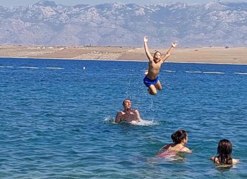 Apartmani ?nidari?