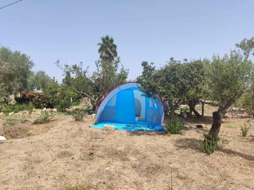 Aree Tende Presso La Casa In Campagna Di Ottavia