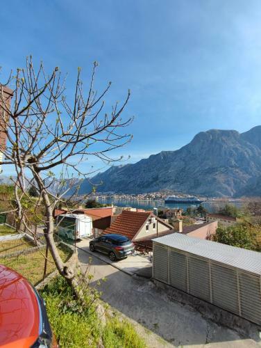 Apartment Barba View