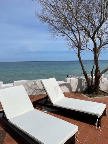 Villa Roy