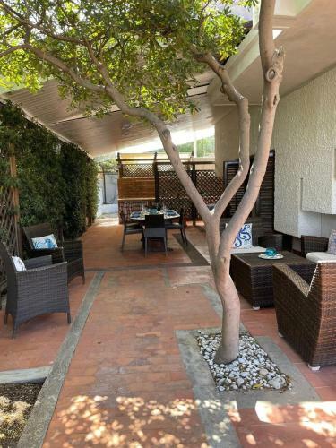 Villa Roy