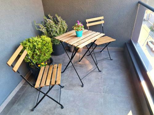Apartamento Mika Premium