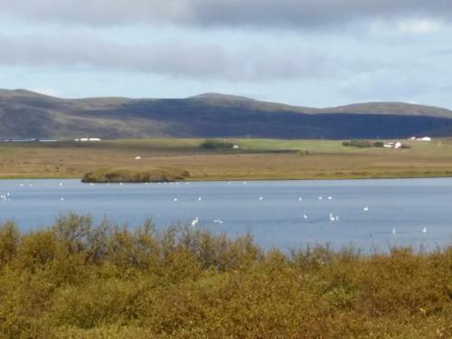 Cosy Cottage In Golden Circle Near Thingvellir