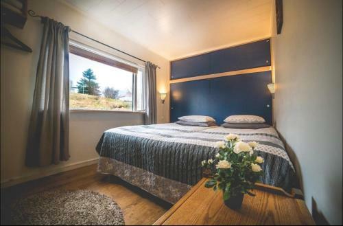 Hostal Dreams Guesthouse VIK