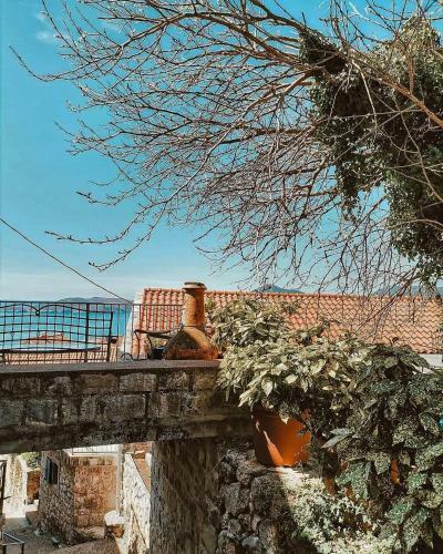 Old House M