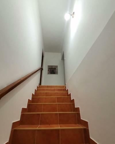 Old House M
