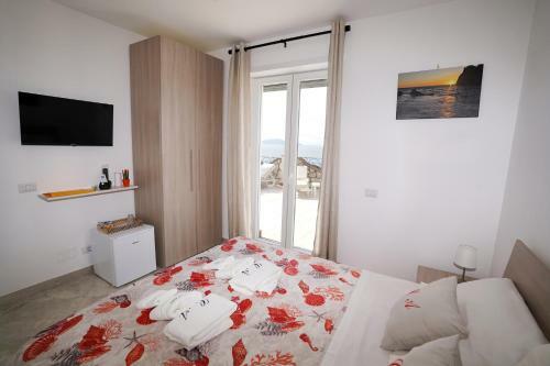 Bed & Breakfast Casa Astra