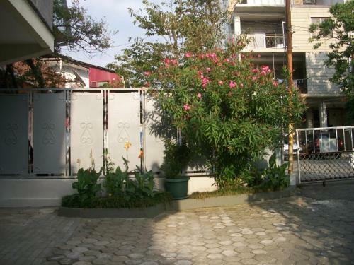 Hostal Rezo's Guest House
